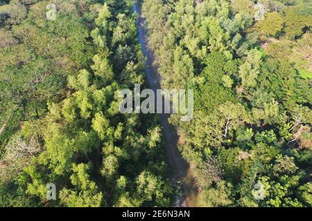 Bagerhat, Bangladesh - 21 gennaio 2021: Vista aerea della foresta di mangrovie Sundarban, un sito patrimonio dell'umanità dell'UNESCO e un santuario della fauna selvatica a Chandp Foto Stock