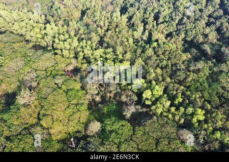 Bagerhat, Bangladesh - 21 gennaio 2021: Vista aerea della foresta di mangrovie Sundarban, un sito patrimonio dell'umanità dell'UNESCO e un santuario della fauna selvatica a Chandp Foto Stock