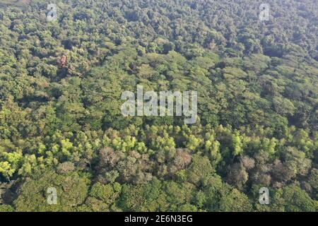 Bagerhat, Bangladesh - 21 gennaio 2021: Vista aerea della foresta di mangrovie Sundarban, un sito patrimonio dell'umanità dell'UNESCO e un santuario della fauna selvatica a Chandp Foto Stock