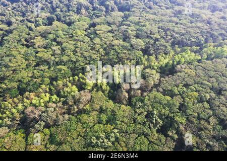 Bagerhat, Bangladesh - 21 gennaio 2021: Vista aerea della foresta di mangrovie Sundarban, un sito patrimonio dell'umanità dell'UNESCO e un santuario della fauna selvatica a Chandp Foto Stock