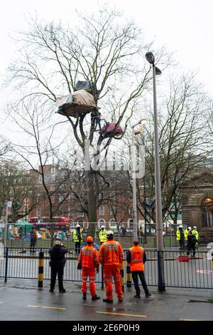 Sfratto di manifestanti Stop HS2 dal campeggio a Euston Square Gardens, Londra, 27 gennaio 2021. Vista delle tende dei manifestanti nell'albero. Foto Stock