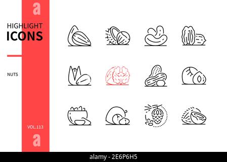 Dadi - Set di icone di stile moderno. Immagini di alta qualità di alimenti sani e biologici freschi. Mandorla, castagno, anacardi, pecan, pistacchio, noce, pisello Illustrazione Vettoriale