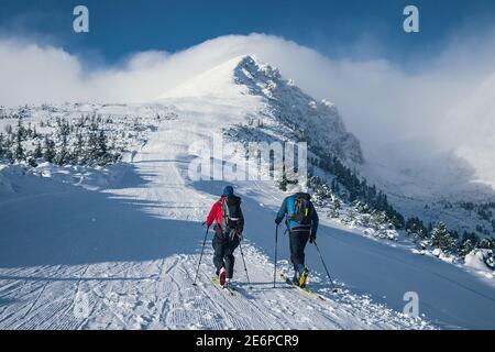 Gruppo di sci di fondo coppia di uomo e donna verso la cima della montagna. Gruppo di alpinisti si sono arrampicati in cima in inverno. Foto Stock