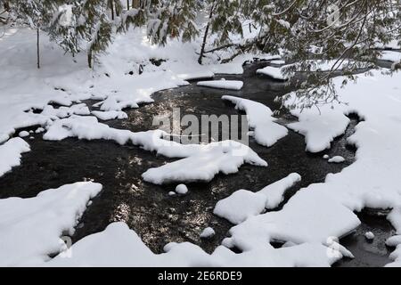 Neve fresca sulle rapide di Hewitts Creek dopo una tempesta di neve Lungo Wilkins camminare Barrie Canada Foto Stock