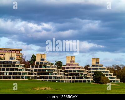 Il campus dell'Università di East Anglia a Norwich, Inghilterra, progettato da Denys Lasdun e costruito dal 1962 al 1968 con terrazze in cemento in stile ziggurat. Foto Stock