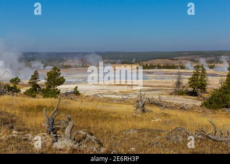 I geyser sono sorgenti termali calde con spazi ristretti nelle loro tubazioni, solitamente vicino alla superficie. Quando l'acqua sale, si forma del vapore. Quantità enormi di vapore Foto Stock