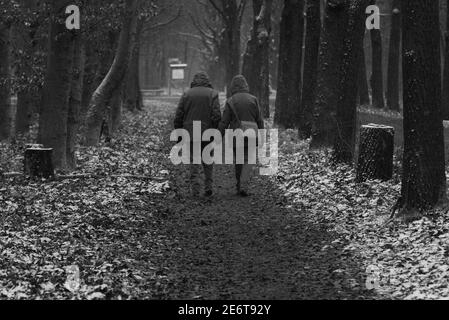 Una coppia va per una passeggiata mentre è nevicata, una coppia passeggiate nella neve, neve leggera, foto in bianco e nero Foto Stock