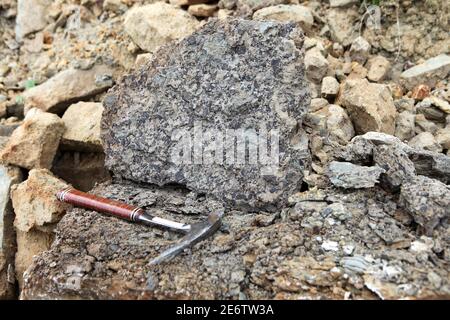 I geologi martellano la roccia del fosforite al tempo di Geological Fieldwork. Martello da roccia o martello da presa utilizzato per la separazione e la rottura delle rocce. Fosforite Foto Stock