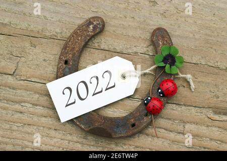Nuovo anno di carta con il ferro di cavallo, Leafed trifoglio e ladybugs su sfondo di legno Foto Stock