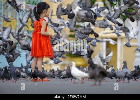 Cambogia, Phnom Penh, giovane ragazza che alimenta i piccioni di fronte al palazzo reale Foto Stock