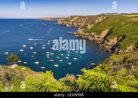 Francia, Finistere (29), Parco Naturale Regionale Armorique, Riserva di Cap Sizun, Penisola Crozon, comune di Crozon, piccolo porto di pesca di Goulien Foto Stock