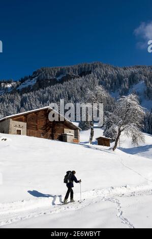 Francia, alta Savoia, Beaufortain Cassis, Val d'Arly, il Monte Bianco paese, molto creta sci trekking, sciatore e chalet di Fontanettes all'inizio dell'escursione Foto Stock