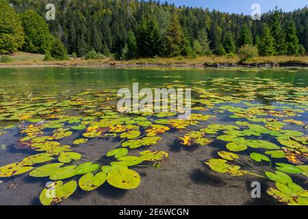 Francia, Ain, Oyonnax, Lago Genin, un gioiello naturale nella città di Charix nelle montagne del Giura Foto Stock