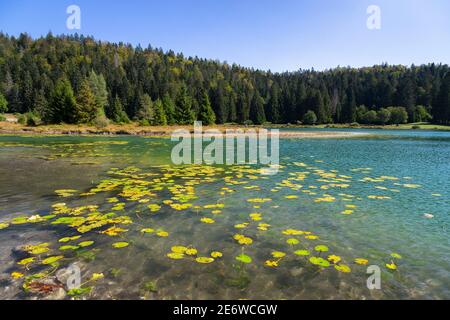 Francia, Ain, Oyonnax, Lago Genin, un gioiello naturale nella città di Charix nelle montagne del Giura Foto Stock