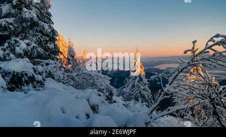 Incredible winter mountains with snow cowered trees. Colorful outdoor. Majestic winter trees glowing by sunlight. Artistic style post processed photo Foto Stock
