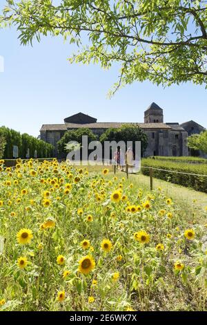 Francia, Bocche del Rodano, Parco Naturale Regionale delle Alpilles, Saint Remy de Provence, Monastero di Saint Paul de Mausole dove Van Gogh visse nel 1889-1890 Foto Stock