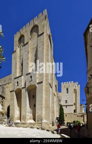 Francia, Vaucluse, Avignone, Palazzo Papale risalente al 14 ° secolo, patrimonio mondiale dell'UNESCO Foto Stock