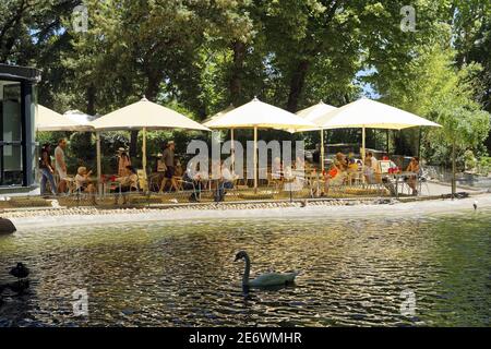 Francia, Vaucluse, Avignone, Rocher des Doms giardino, snack bar Foto Stock