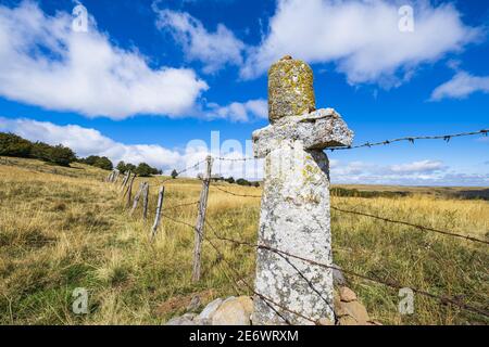 Francia, Aveyron, la Riserva Naturale Regionale Aubrac, Granit Cross lungo la Via Podiensis, uno dei percorsi di pellegrinaggio a Santiago de Compostela o GR 65 (Patrimonio dell'Umanità dell'UNESCO) Foto Stock