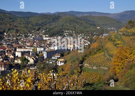 Francia, Alto Reno, Guebwiller, città, vigneto, Kitterl? Terrazze in autunno, vista della città, chiesa di Saint Leger, le fabbriche, il castello di Hugstein, Buhl, le Hautes Vosges Foto Stock