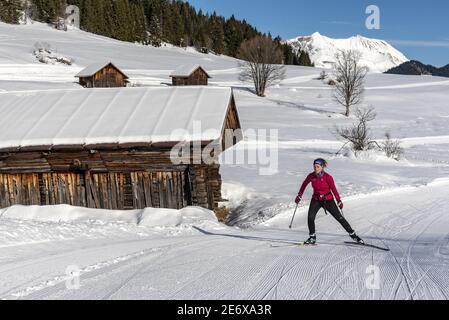 Francia, alta Savoia (74), Aravis Massiccio, sopra la Clusaz le piste da sci di fondo nella zona nordica della frazione di Les Confins Foto Stock