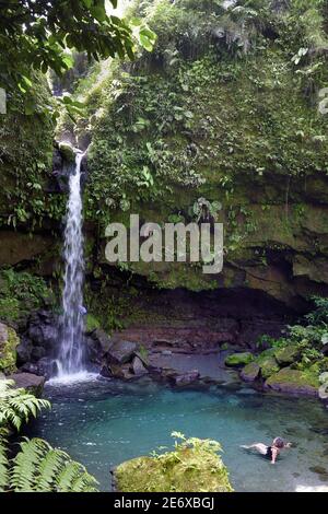 Caraibi, Isola Dominica, Castello Bruce, Morne Trois Pitons National Park, patrimonio mondiale dell'UNESCO, nel sottobosco tropicale, Emerald Pool e la sua cascata Foto Stock