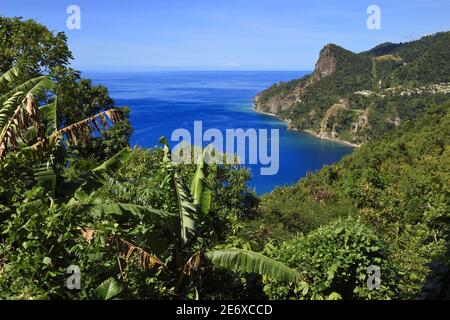 Caraibi, Isola di Dominica, Baia di Soufri?re, nelle montagne del sud dell'isola lungo il segmento 1 del Sentiero Nazionale di Waitukubuli tra il Villaggio di Scotts Head e la tenuta di Soufri?re Foto Stock