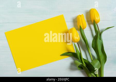 Tulipani gialli e bianchi su uno sfondo di legno chiaro. Il concetto di Giornata Internazionale della Donna, 8 marzo, 1 giorno di Primavera. Luminoso e colorato piatto primaverile Foto Stock