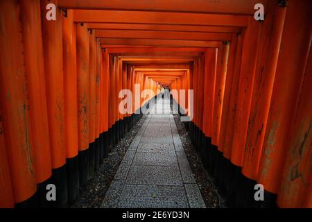 Il sentiero rosso torii cancelli a piedi al santuario di fushimi inari taisha, uno dei punti di riferimento attrazione per i turisti a Kyoto, Giappone 11 14 2019 Foto Stock