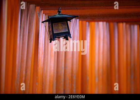 Il sentiero rosso torii cancelli a piedi al santuario di fushimi inari taisha, uno dei punti di riferimento attrazione per i turisti a Kyoto, Giappone 11 14 2019 Foto Stock