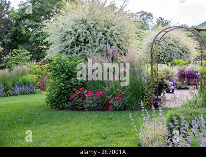 Scena tranquilla di un salice ornamentale giapponese, variegato in piena fioritura con rose, menta, idrangee in un giardino del Midwest. Foto Stock