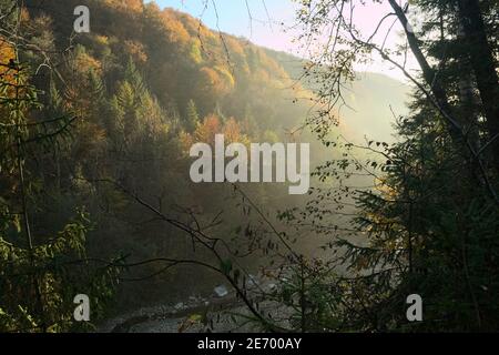 Travi a sole nel canyon con la foresta d'autunno sulle pendici della mattina presto, Carpazi montagne, Ucraina Foto Stock