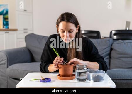 Giovane donna millenaria che pianta erbe di cipolla a casa in una pentola. Hobby di giardinaggio domestico. Zero sprechi di stile di vita sostenibile. Cibo sano e pulito Foto Stock