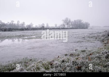 I pascoli murati in pietra dell'altopiano di Mirandese in una fredda mattina d'inverno. Foto Stock