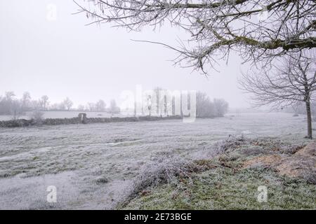 I pascoli murati in pietra dell'altopiano di Mirandese in una fredda mattina d'inverno. Foto Stock