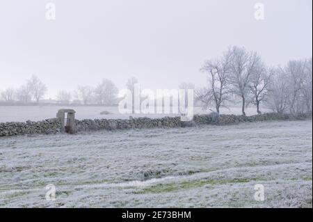 I pascoli murati in pietra dell'altopiano di Mirandese in una fredda mattina d'inverno. Foto Stock