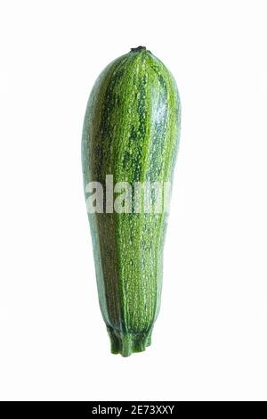 Zucchine (Cucurbita pepo) zucca estiva con il suo fiore giallo. In realtà il frutto immaturo della pianta di Cucurbita pepo, la zucchinis (conosciuta anche come cour Foto Stock