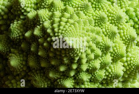 Romanesco broccoli (Brassica oleracea) Foto Stock