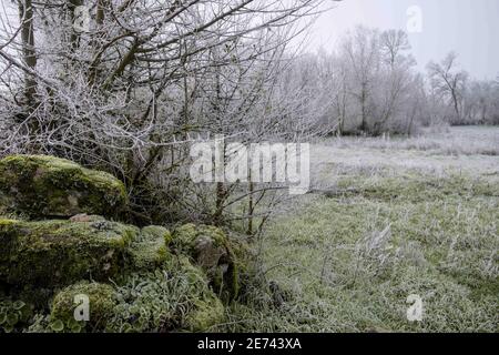 I pascoli murati in pietra dell'altopiano di Mirandese in una fredda mattina d'inverno. Foto Stock