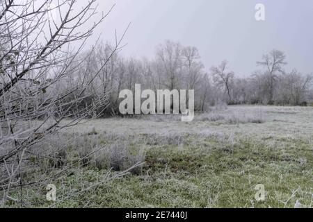 I pascoli murati in pietra dell'altopiano di Mirandese in una fredda mattina d'inverno. Foto Stock