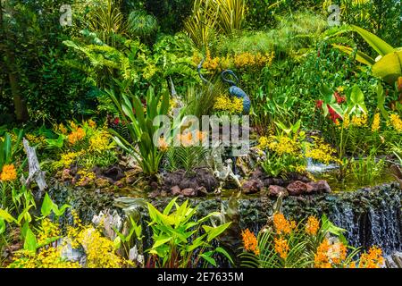 Splendida vegetazione nei giardini botanici di Singapore Foto Stock