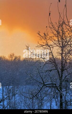 Nevicando in inverno reale abbastanza rosso profondo incredibile tramonto sera Foto Stock