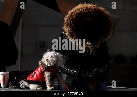 New York, Stati Uniti. 29 gennaio 2021. Un cane che indossa un cappotto invernale si siede accanto ad una donna impacchettata contro temperature frigide in numeri a una sola cifra, alimentato da forti venti portati da un'esplosione artica dal Canada, New York, NY, 29 gennaio 2021. (Foto di Anthony Behar/Sipa USA) Credit: Sipa USA/Alamy Live News Foto Stock