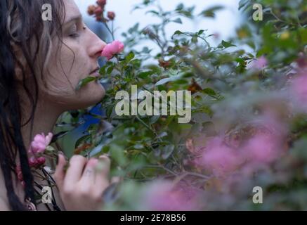 Bella giovane individuo, eccentrica donna dai capelli scuri, con interessante profilo classico mette il suo naso profondo in fragranti rose rosa che crescono in Th Foto Stock