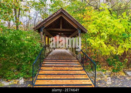 Niagara Escarpment Bruce Trail Cascate e Foresta d'autunno Foto Stock