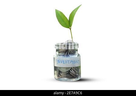 Monete Soldi in bottiglia vaso su sfondo bianco Foto Stock