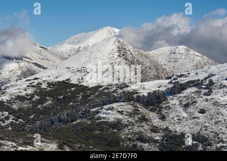 Monte Alcojado e Torrecilla Peak nel Parco Nazionale della Sierra de las Nieves nel distretto comunale di Igualeja in Ronda, provincia di Malaga. Andalusi Foto Stock