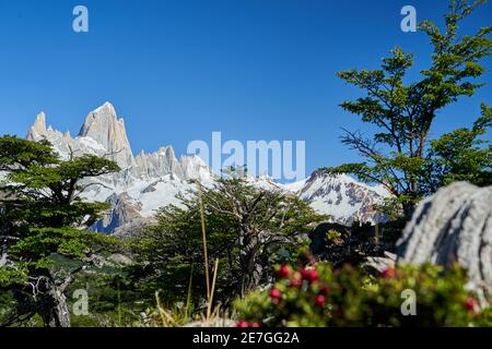 Il Monte Fitzroy è un'alta e caratteristica vetta montana nell'Argentina meridionale, Patagonia, in Sud America e una popolare destinazione di viaggio per escursioni a piedi Foto Stock