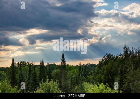 Raggi di luce solare che si infranono su una foresta del Wisconsin nel mese di luglio, orizzontale Foto Stock