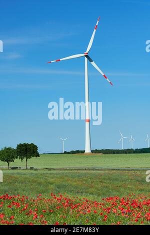 Turbine eoliche moderne in campo fiorito con papavero rosso e fiori di mais blu in piena fioritura. Energia verde alternativa, stile di vita sostenibile ed ecocompatibile Foto Stock